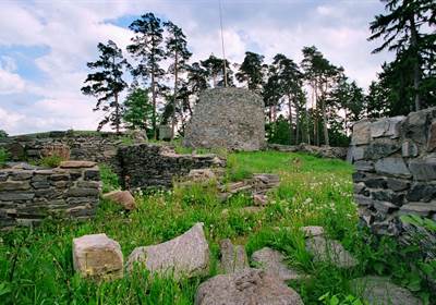 Zřícenina hradu Bukov - Lísek