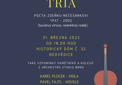 Koncert smyčcového tria